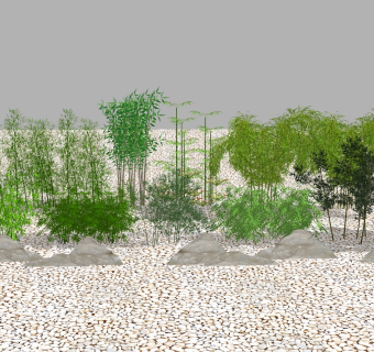 新中式景观植物，竹子，竹林su草图模型下载