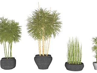 竹子，盆栽，su草图模型下载