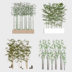 新中式景观植物竹子，su草图模型下载