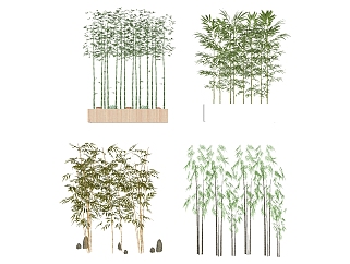 新中式景观植物<em>竹子</em>，su草图模型下载