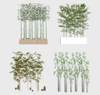 新中式景观植物竹子，su草图模型下载