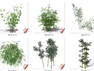 现代竹子<em>植物</em> <em>景观</em>竹子植物su草图模型下载
