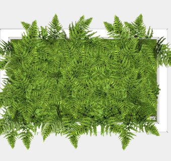 现代绿植 植物墙 装饰植物su草图模型下载