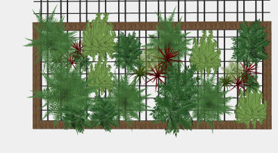 现代绿植 植物墙 装饰植物 su草图模型下载