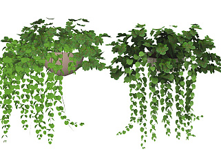 装饰<em>植物</em> 盆栽 吊篮，花槽su草图模型下载