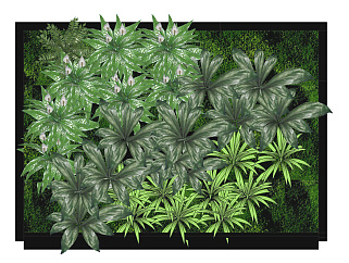 装饰植物 绿植墙组合su草图模型下载