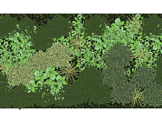 植物 装饰植物 绿植墙组合 su草图模型下载