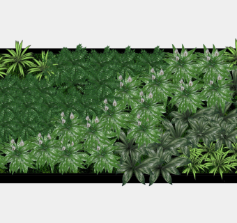 装饰植物 绿植墙组合 su草图模型下载