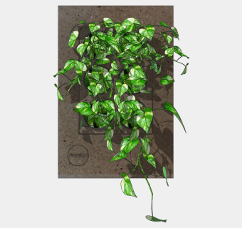 简约装饰植物绿植墙组合 su草图模型下载