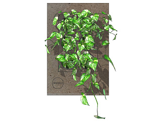 简约装饰植物绿植墙组合 su草图模型下载