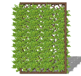 植物 装饰植物 绿植墙组合 su草图模型下载