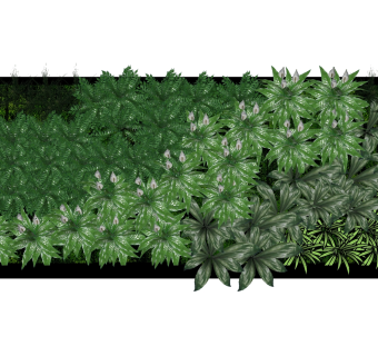 装饰植物 绿植墙组合 su草图模型下载