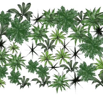 装饰植物 绿植墙组合 su草图模型下载