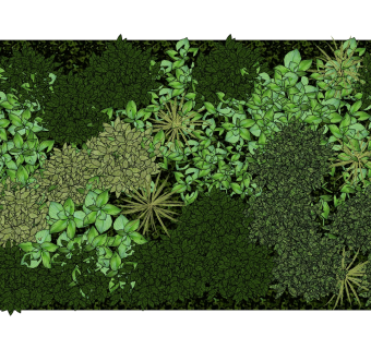 装饰植物 绿植墙组合 su草图模型下载