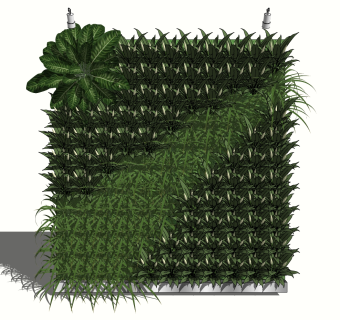 装饰植物 绿植墙组合 su草图模型下载