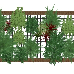 装饰植物 绿植墙  su草图模型下载