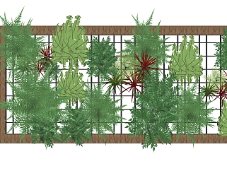 装饰植物 绿植墙  su草图模型下载