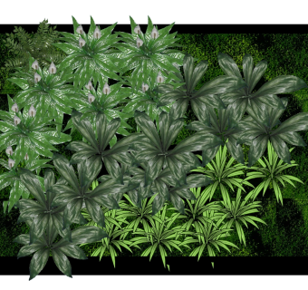 装饰植物 绿植墙  su草图模型下载