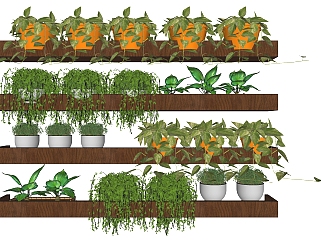 装饰植物 绿植墙 原木花架子，阳台植物su草图模型下载