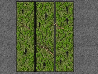 装饰植物 绿植墙 苔藓 组合   su草图模型下载