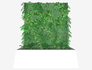 植物 装饰植物 绿植墙   su草图模型下载