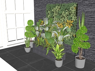 景观植物盆栽绿植墙组合su草图模型下载