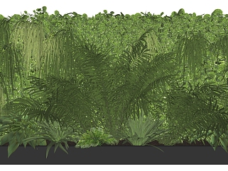 装饰植物 绿植墙 <em>芭蕉</em> 藤蔓植物su草图模型下载