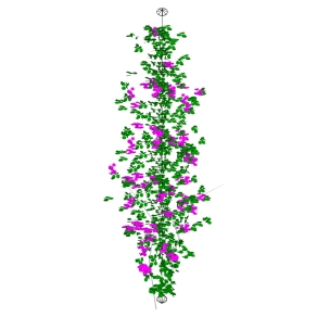 植物 绿植 藤蔓 su草图模型下载