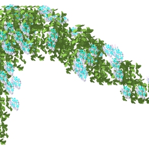 植物 绿植 藤蔓 su草图模型下载