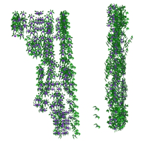 植物 绿植 藤蔓 绿植墙su草图模型下载