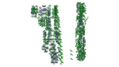 植物 绿植 藤蔓 绿植墙su草图模型下载