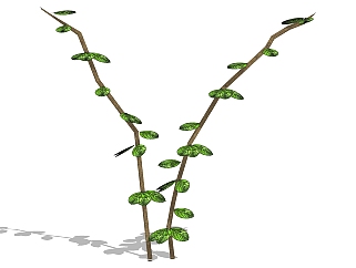 植物 <em>树枝</em>su草图模型下载