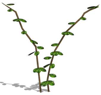植物 树枝su草图模型下载
