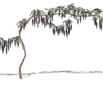 植物树 绿植 su草图模型下载