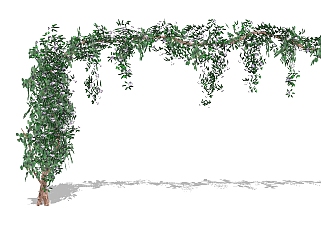 绿植<em>植物</em> <em>藤蔓</em> 装饰植物 su草图模型下载