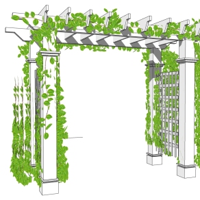 金属架子 爬山虎 绿植植物 装饰植物 su草图模型下载