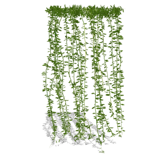 绿植墙 装饰植物 藤蔓su草图模型下载