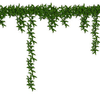 藤蔓 植物墙 装饰绿植su草图模型下载