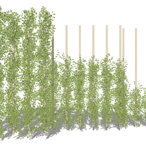 装饰植物 绿植 绿植墙组合su草图模型下载