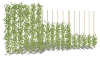 装饰植物 绿植 绿植墙组合su草图模型下载