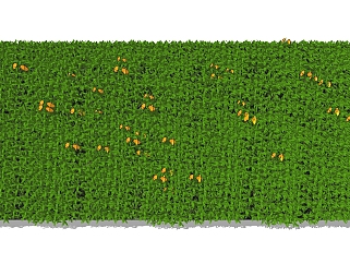 植物 <em>爬山虎</em> 绿植墙 装饰植物su草图模型下载