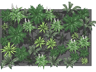 绿植墙 植物 装饰植物 墙su草图模型下载