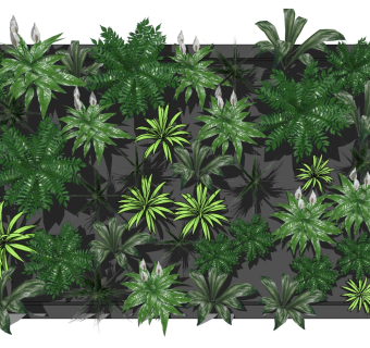 绿植墙 植物 装饰植物 墙su草图模型下载