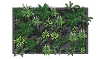 绿植墙 植物 装饰植物 墙su草图模型下载