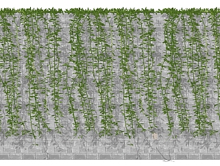 藤蔓 植物 装饰植物 绿植墙  su草图模型下载