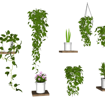 绿植 盆栽 吊篮 摆件 组合su草图模型下载