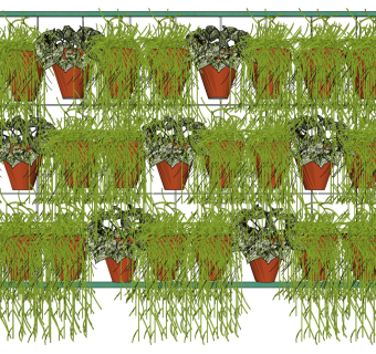 盆栽 装饰植物 绿植墙 su草图模型下载