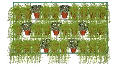 盆栽 装饰植物 绿植墙 su草图模型下载