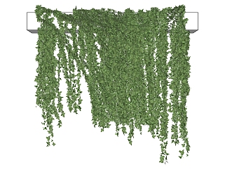 绿植 藤蔓 装饰植物su草图模型下载