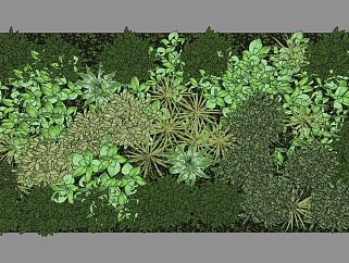 装饰植物 绿植墙su草图模型下载